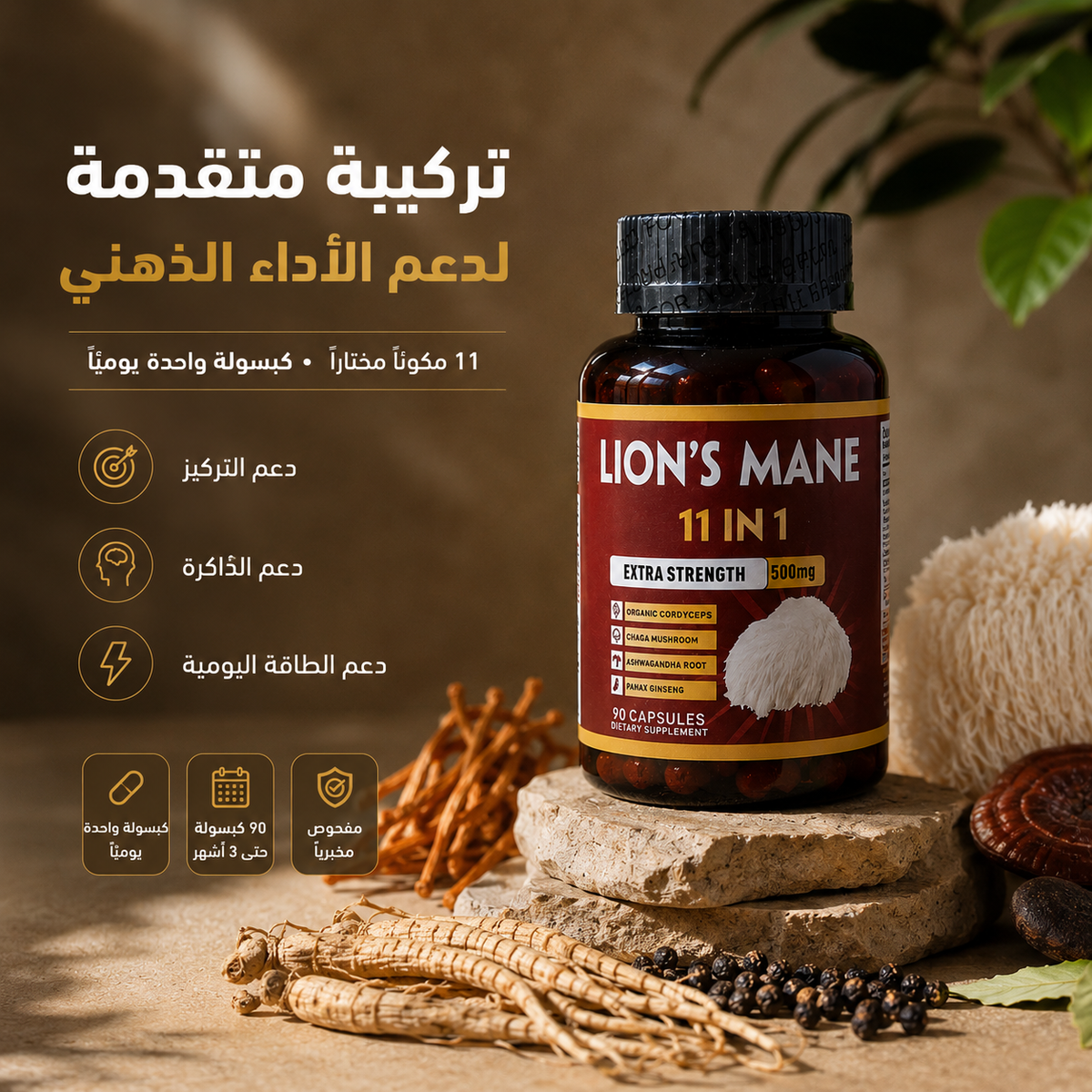 فِطْرْ عُرْف الأَسَدْ 11 في 1